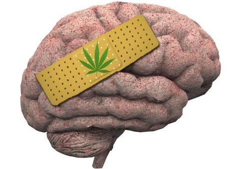 marihuana mata neuronas